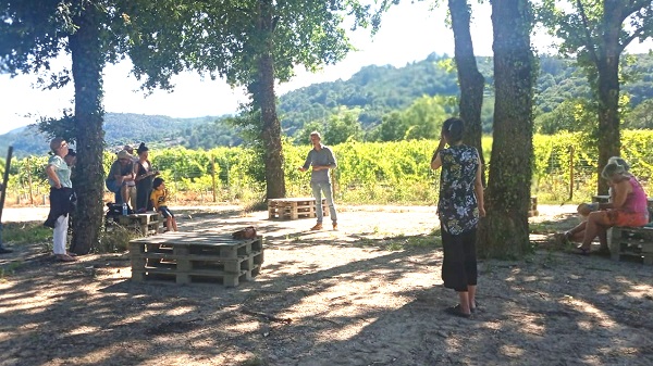 Actividad de contexto histórico bajo los carballos en la ruta viticultores con arte no Ribeiro